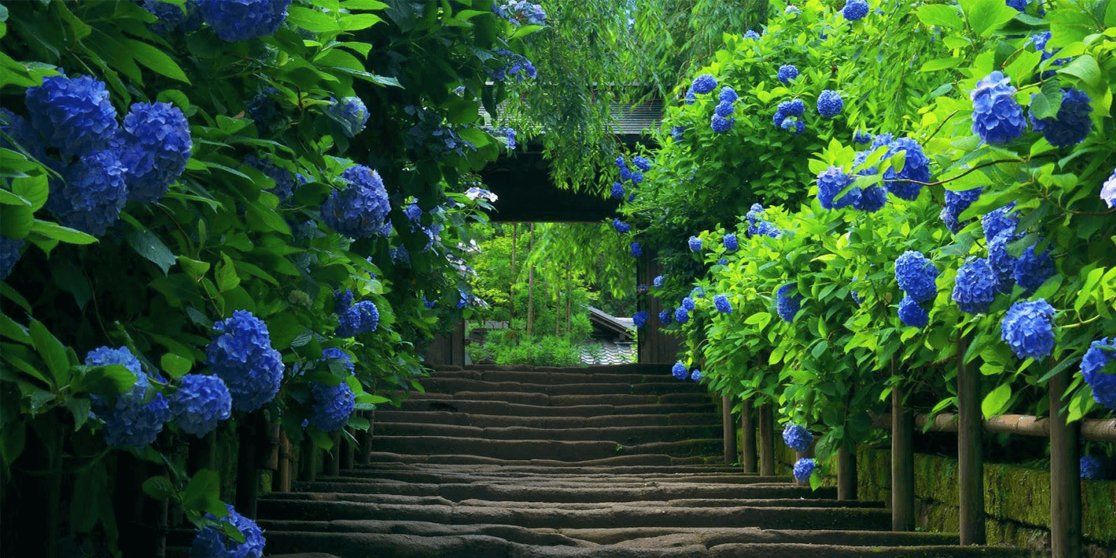 Hedwig de Leest, Regressietherapiepraktijk in Oirschot home