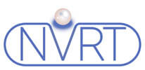 Logo Nederlandse Vereniging van Reïncarnatietherapeuten