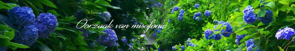Oorzaak van misofonie